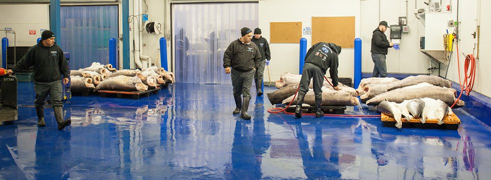 Epoxy Flooring in Pakistan