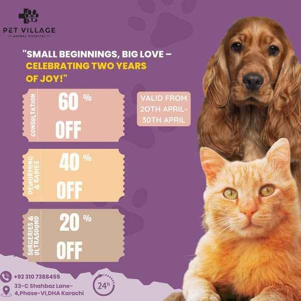 Pet Village Animal Hospital