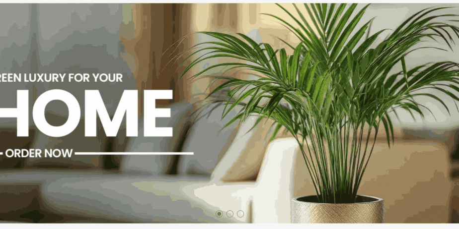 Best Online Plants Nursery in Pakistan | Gulab.pk