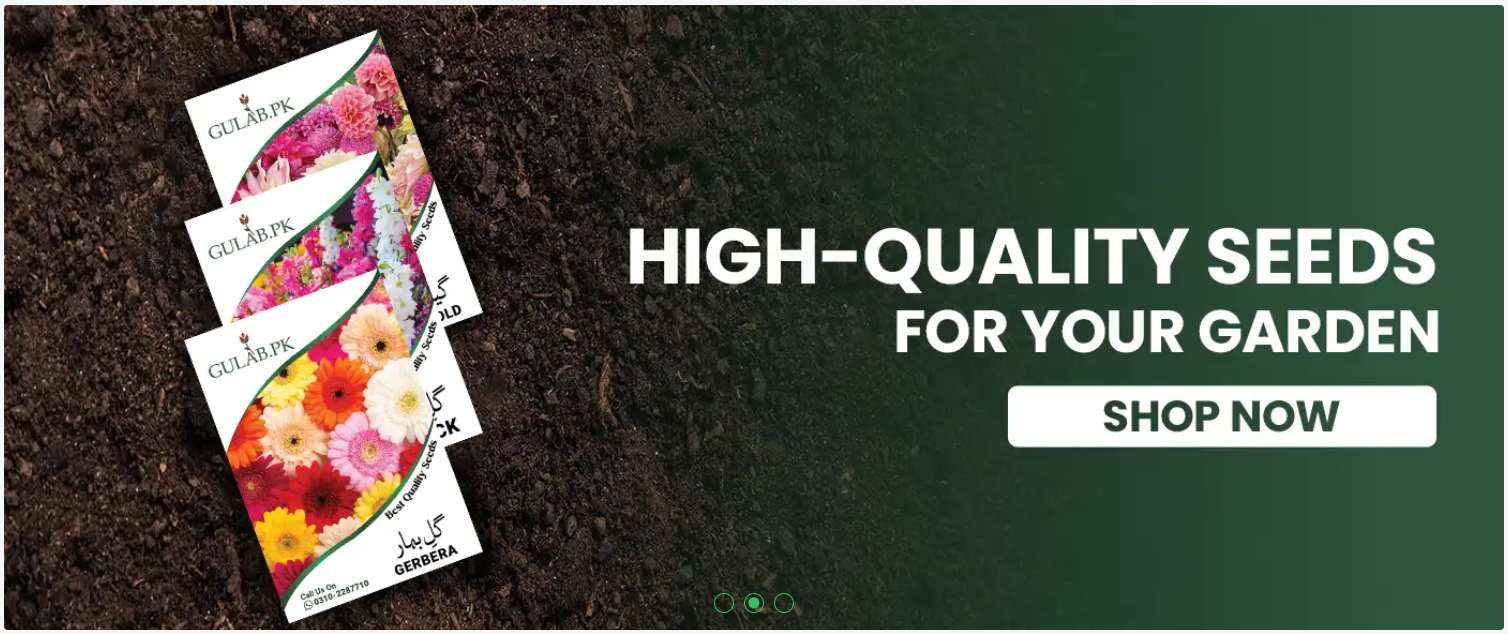 Best Online Plants Nursery in Pakistan | Gulab.pk