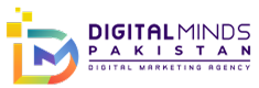Premium Web Design & Development Services – DigitalMinds.pk