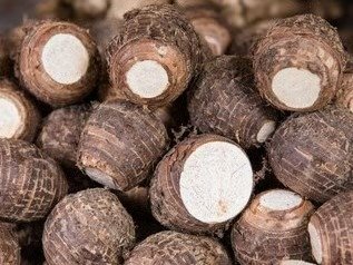 MTF Produce – Premium Wholesale Tropical Fruits & Vegetables